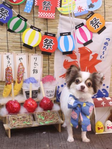 20240717トキくん